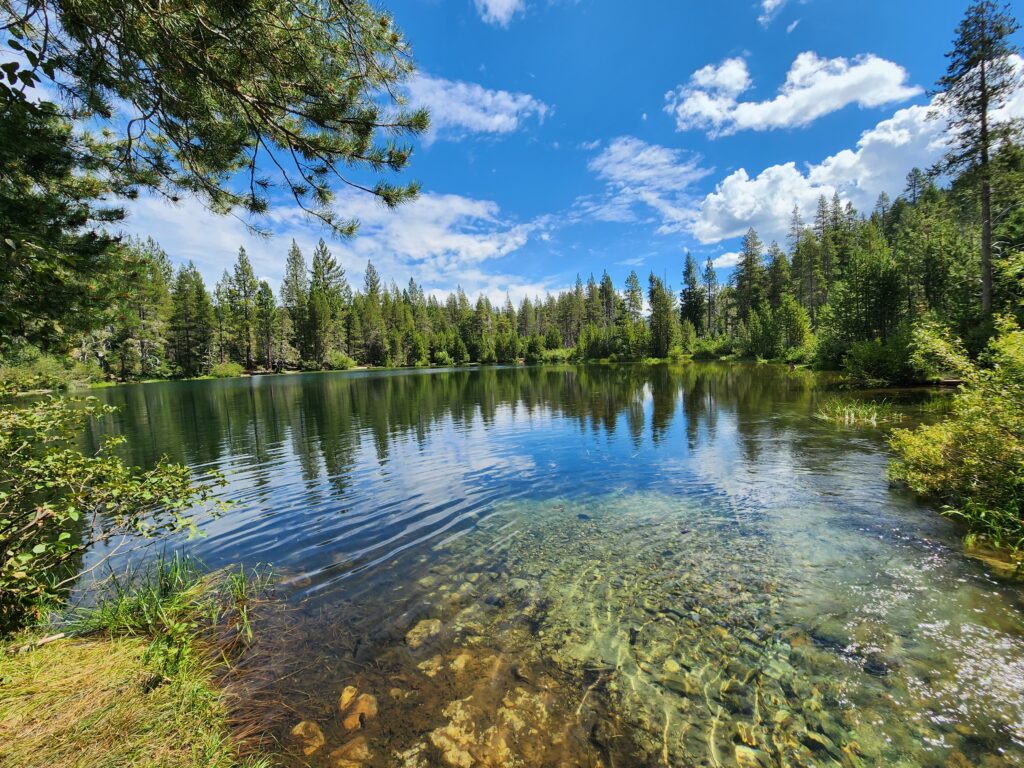 Picture of lake with blue sky, pine trees and clouds